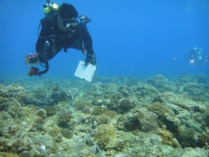 我是文字我是文字